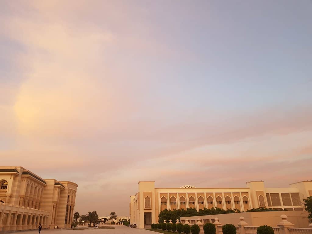 Environmental Art Installations