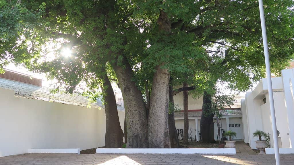 Third hero image