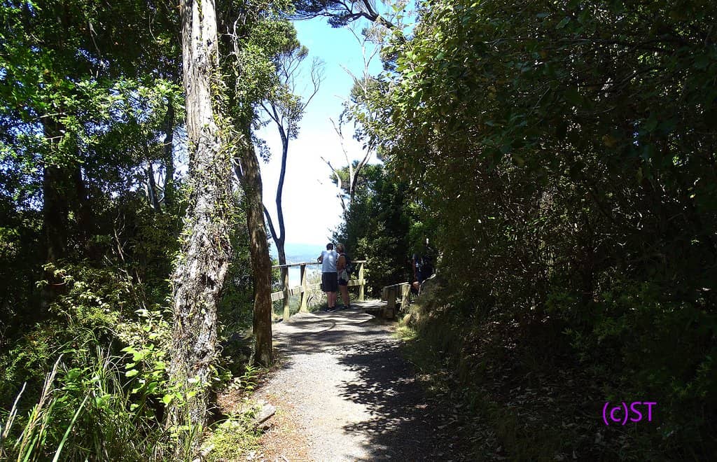 Well-Maintained Trail