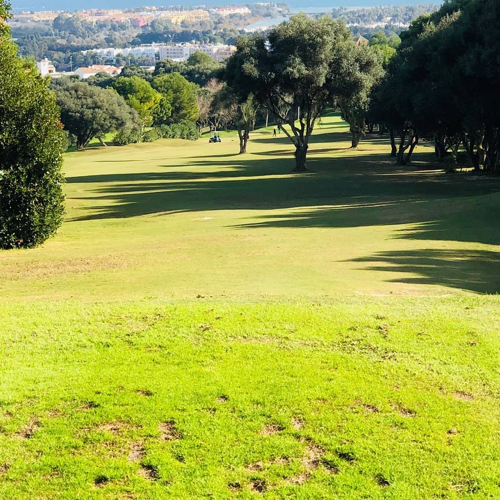 Cork Tree Lined Fairways