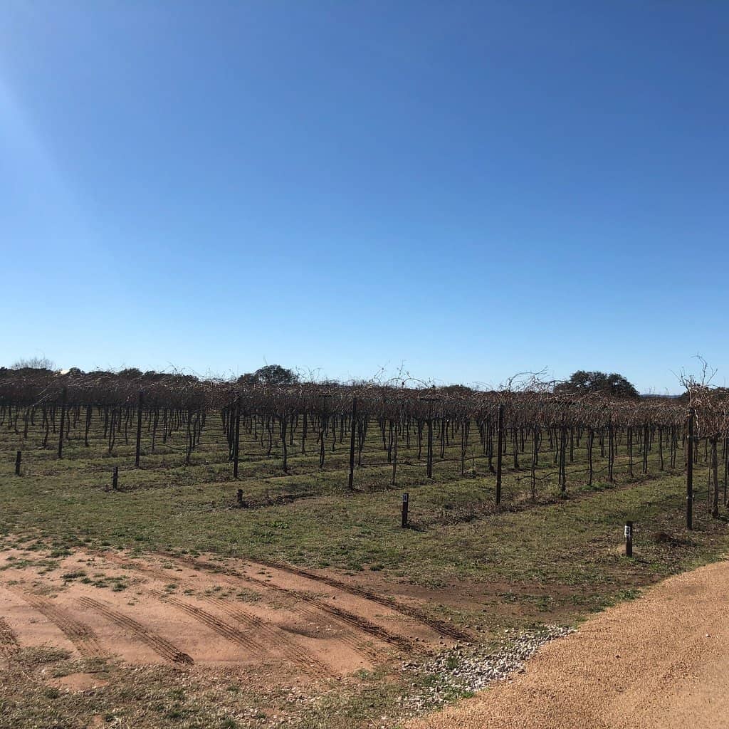 Winery Tour