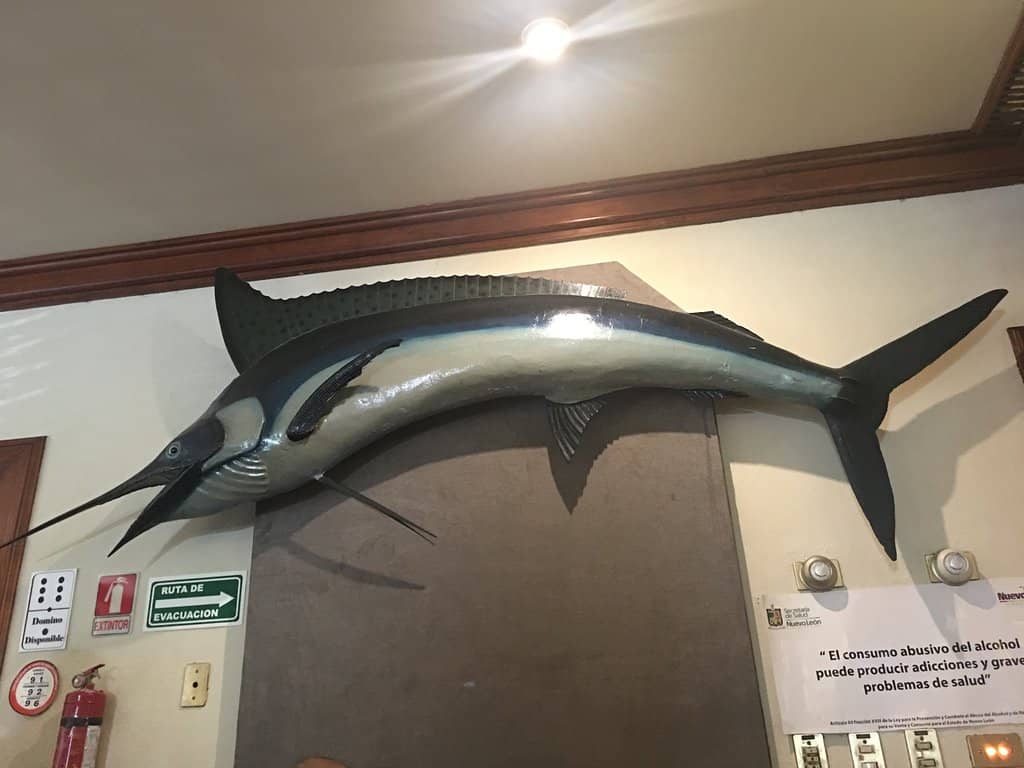 Upscale Cantina Ambiance