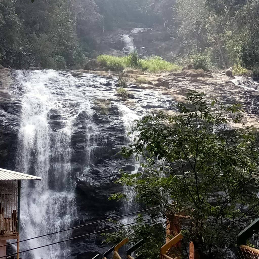 Agumbe Rainforest Trek