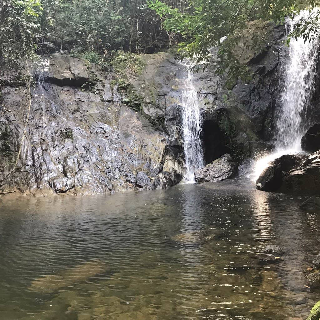 Upper Tier Swimming