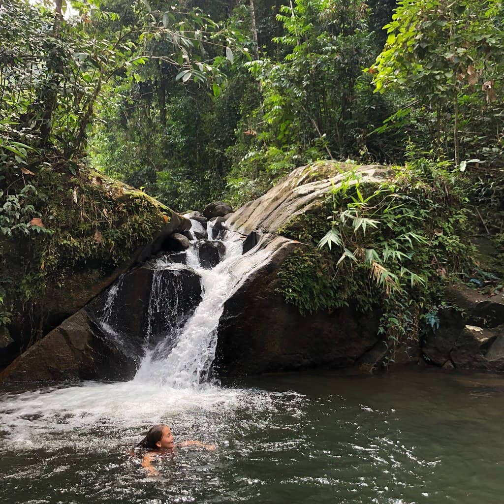 Natural Fish Spa