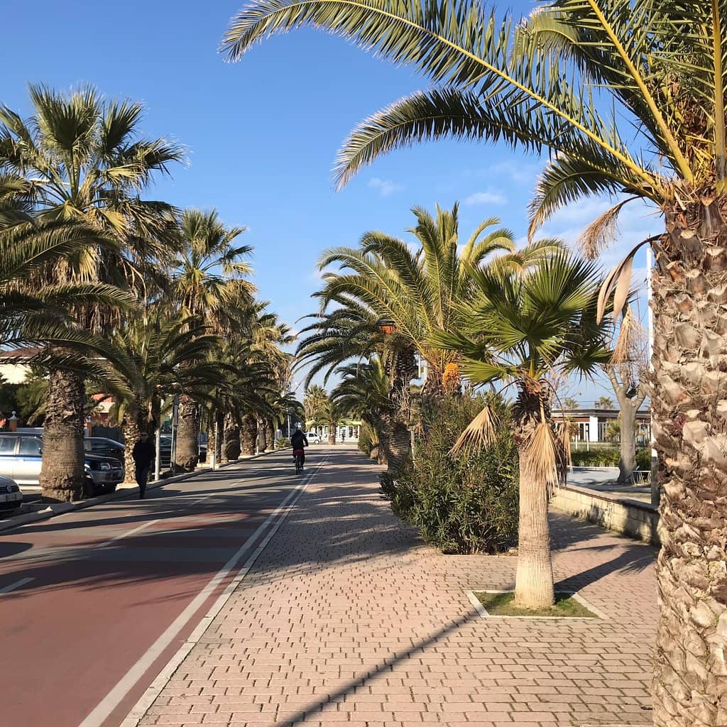 Local Cafes & Restaurants