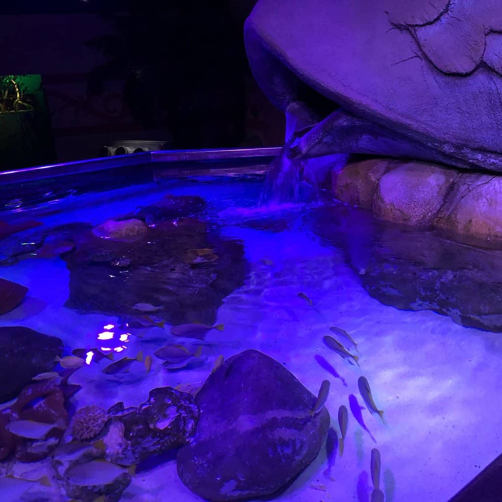 Ocean Tunnel