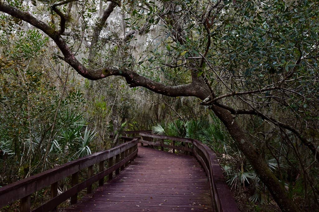 Nature Center Exhibits
