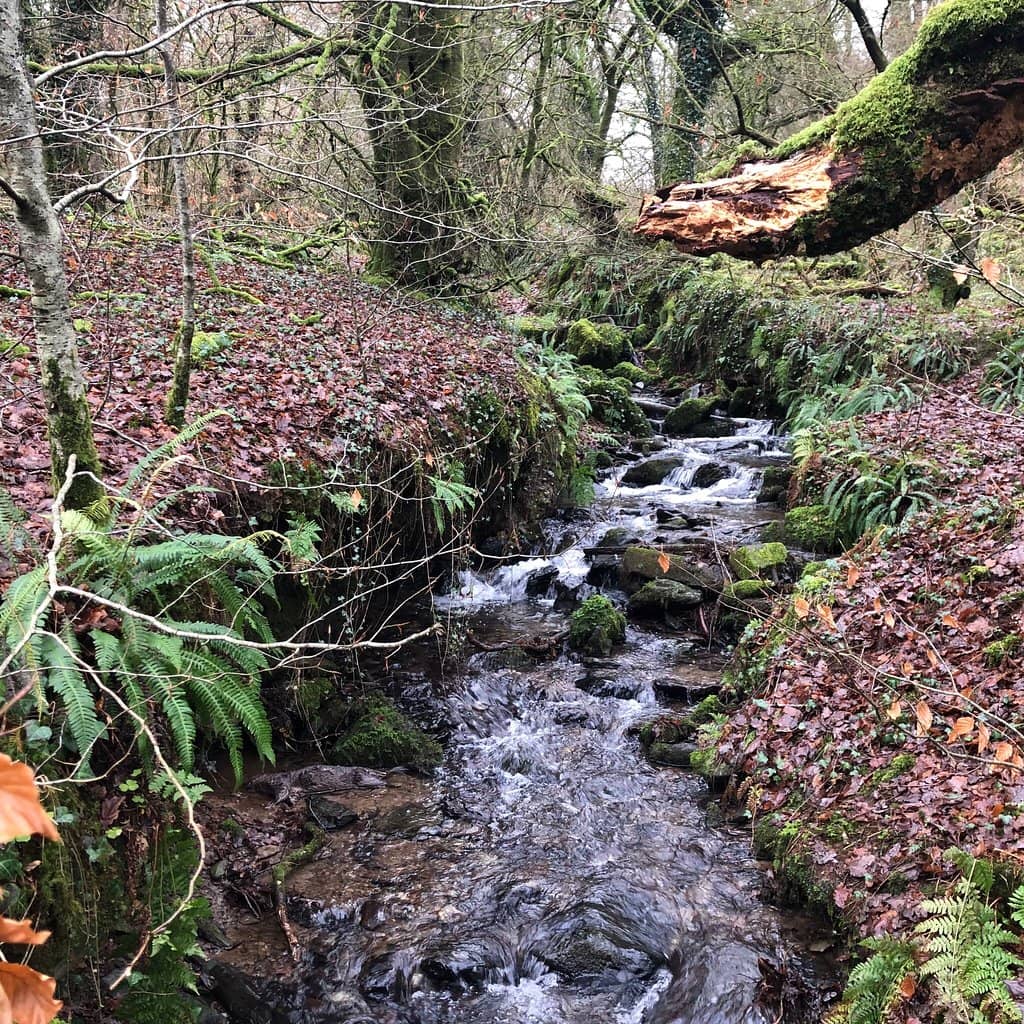 River Barle Ford