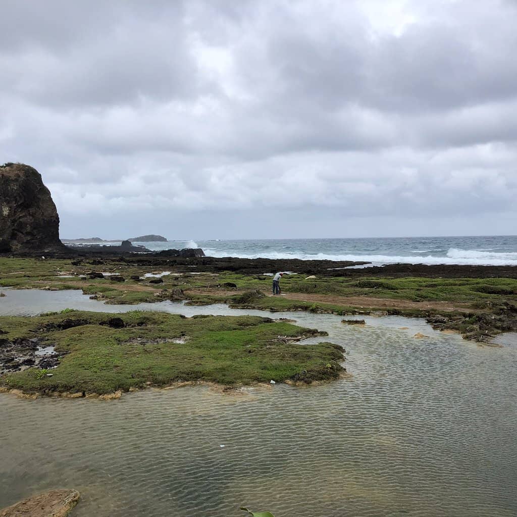 Coastal Vistas