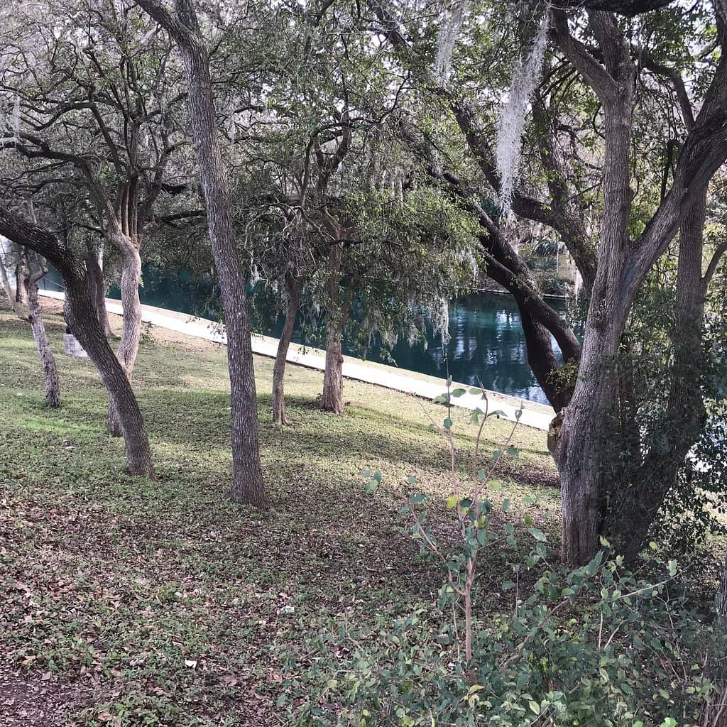 Playground & Picnic Areas