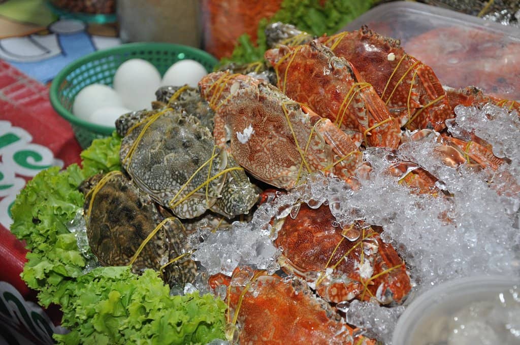 Exotic Insect Delicacies