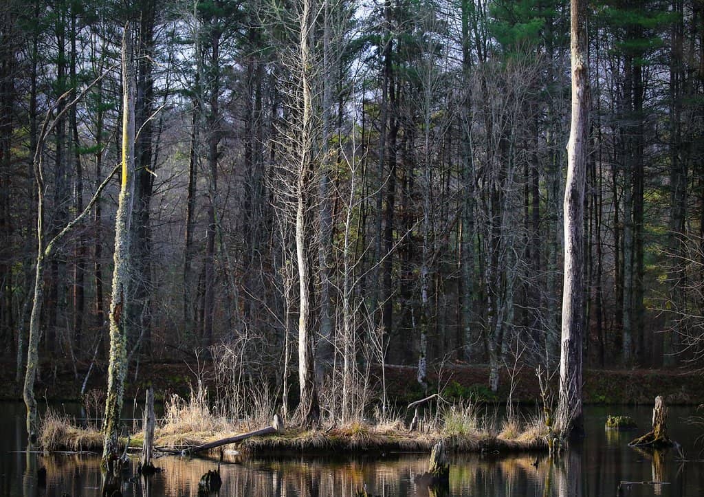 Vertical photo
