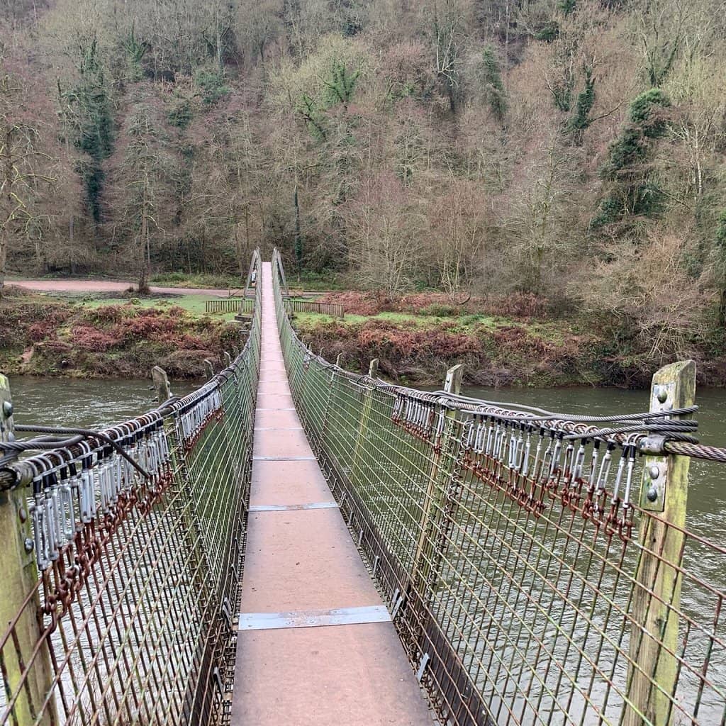 Mailscot Wood Trail