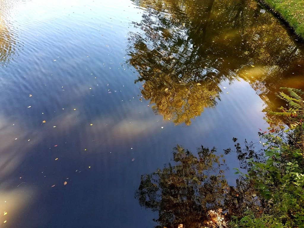 Vertical photo