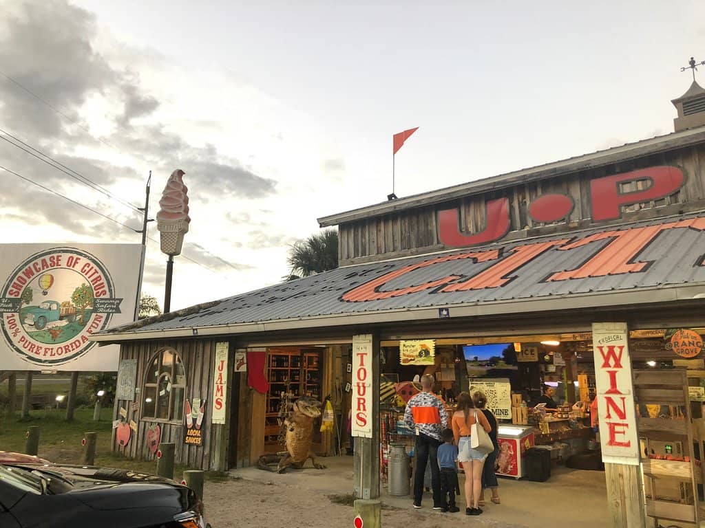 Pumpkin Ponderosa (Seasonal)