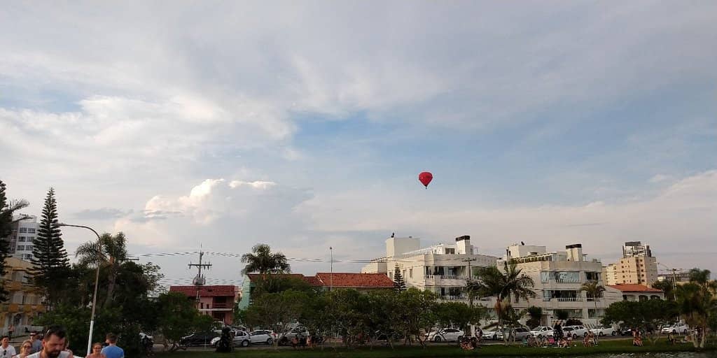 Abundant Wildlife Spotting