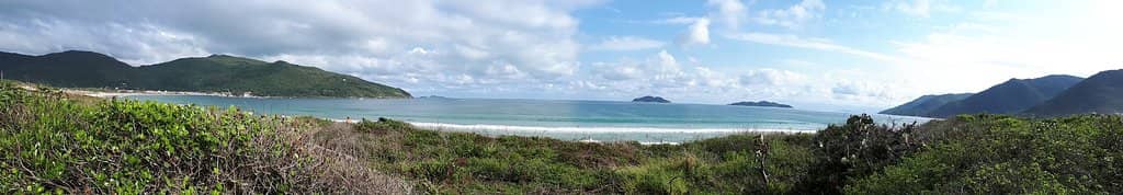 Vanilla Sand Beach