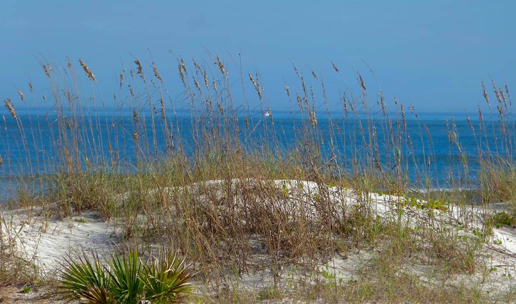 Ponce Inlet Views