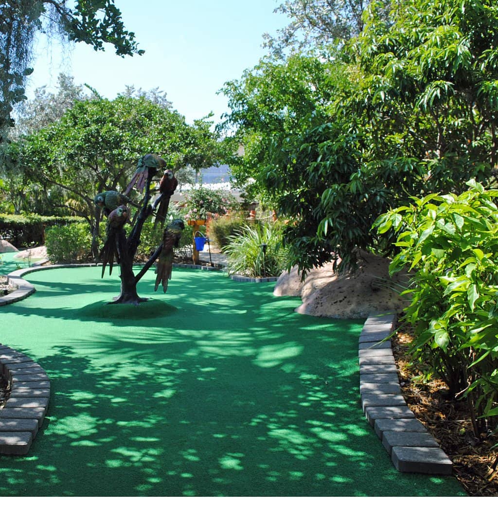 Creative Course Designs