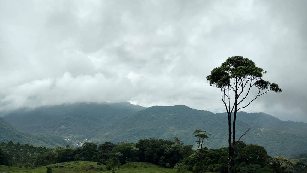Panoramic Mountain Views