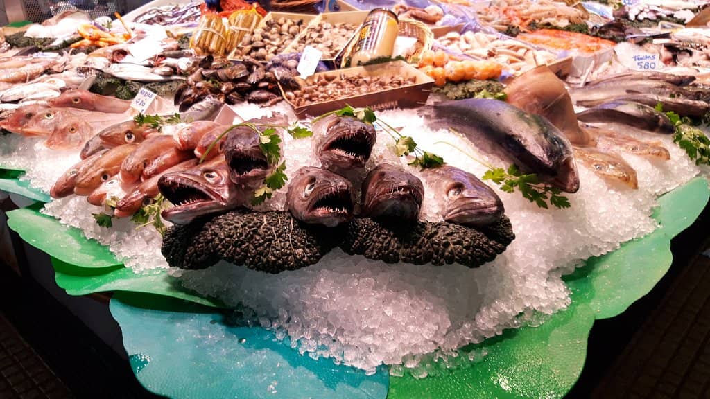 Artisan Cheese & Honey