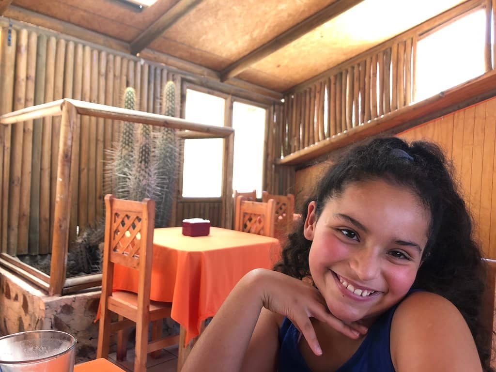 Valle del Elqui Cuisine