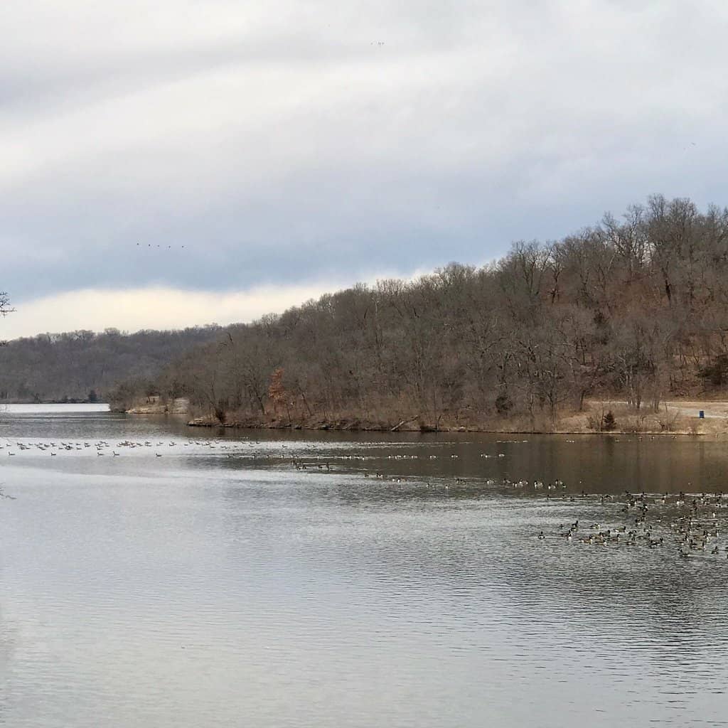 Mr. & Mrs. F.L. Schlagle Library