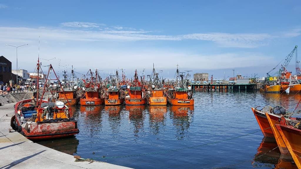 Street Mall & Souvenirs