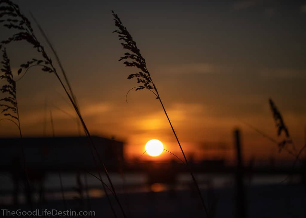 Pirate Shows & Fireworks