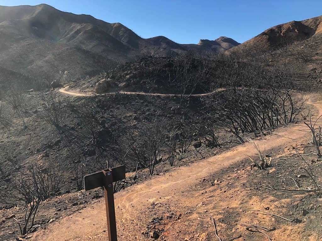 Hiking Trails