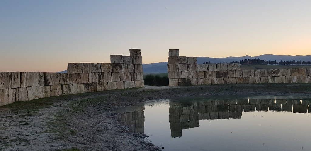 Guest Star Performances