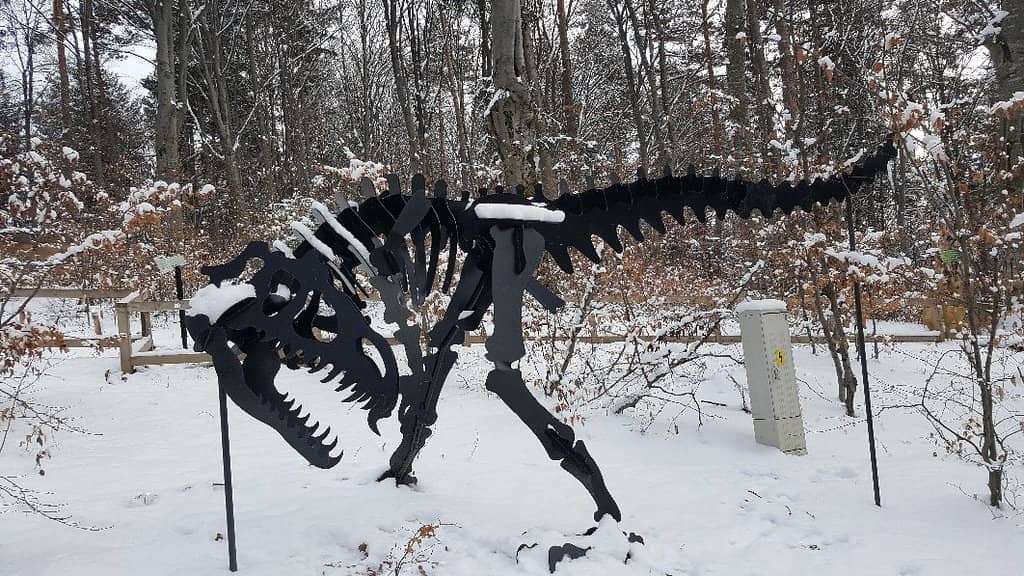 Interactive Forest Trails