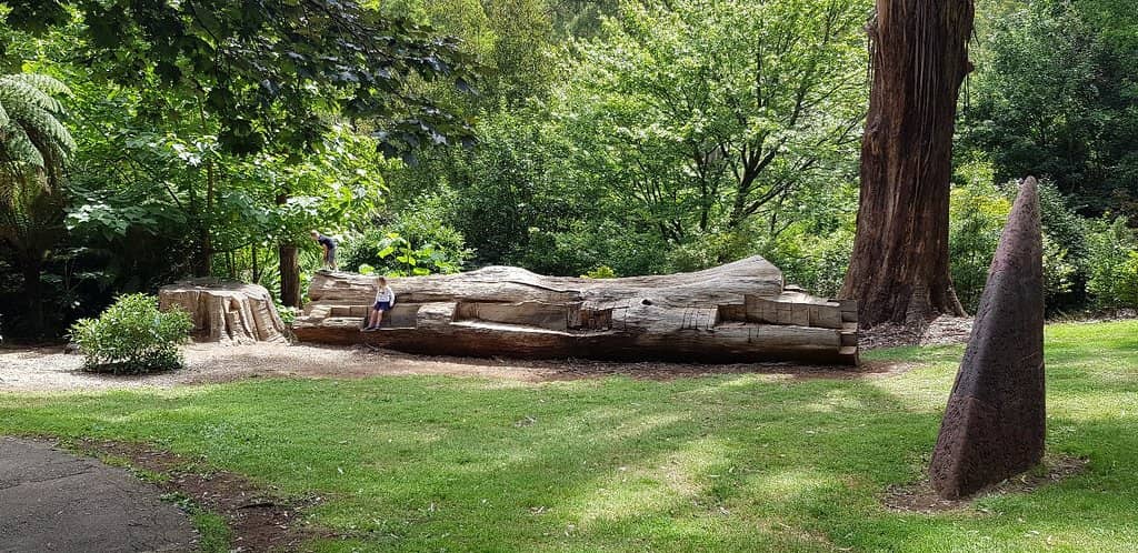 Winding Forest Trails