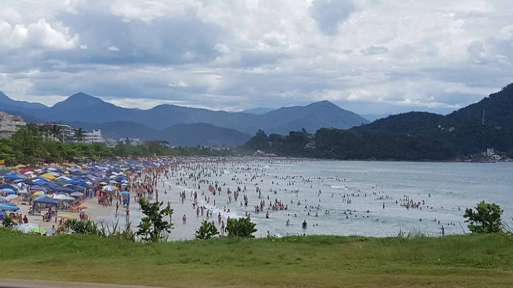 Surfing & Swimming Waves