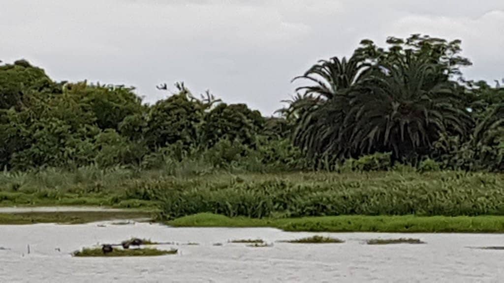 Peaceful Bay Observation