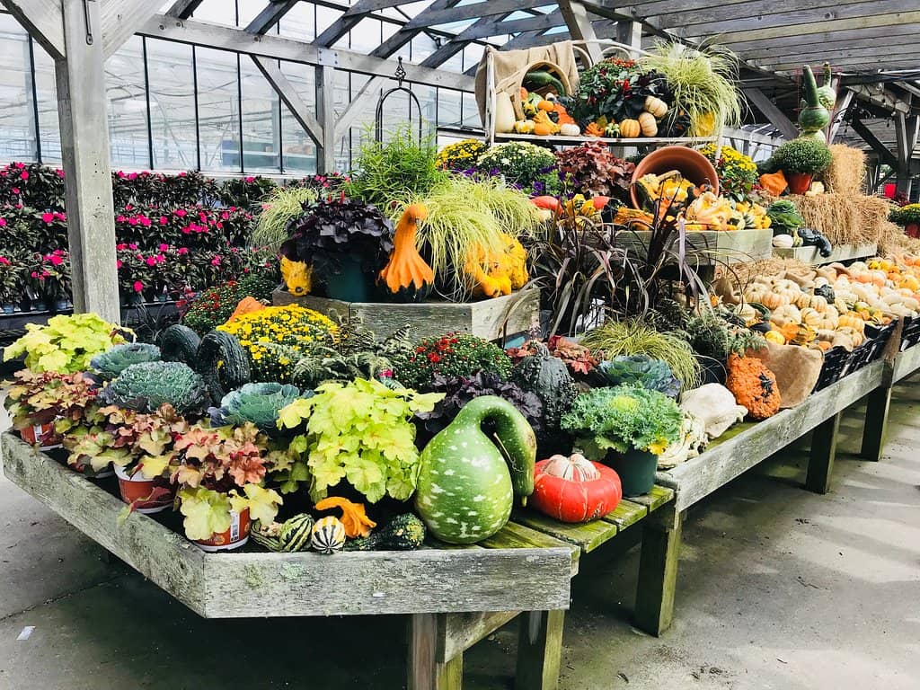 Farm-Fresh Deli Sandwiches