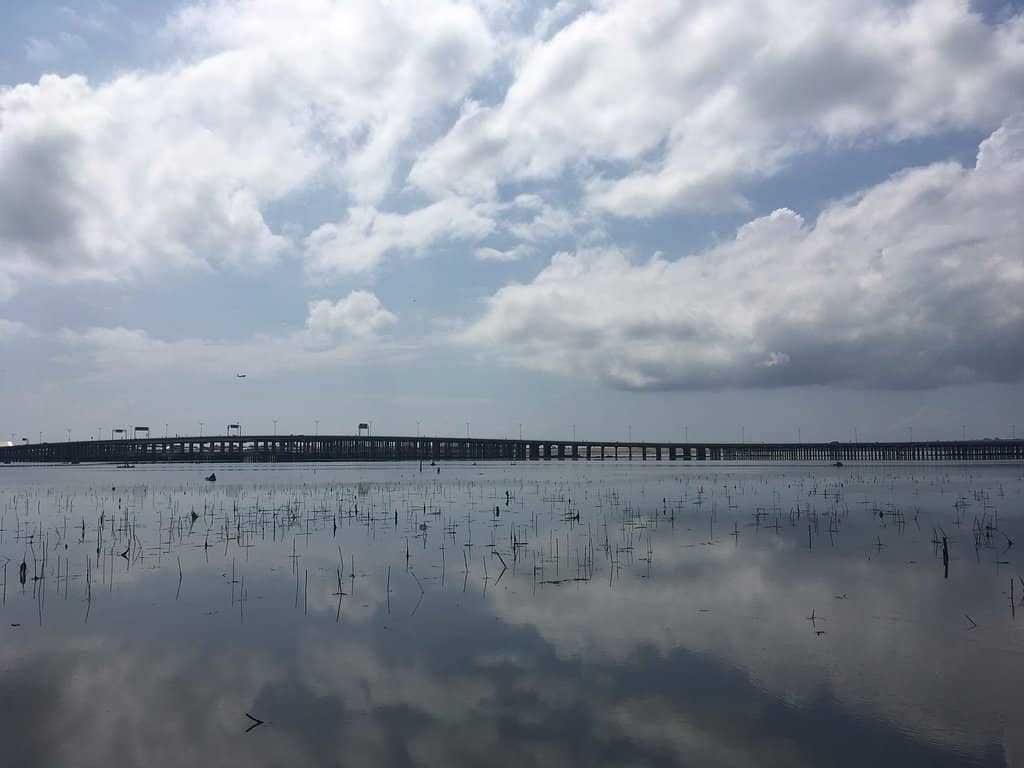 Kayaking Through Lush Waterways