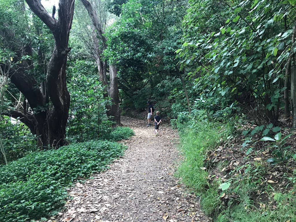 Vertical photo