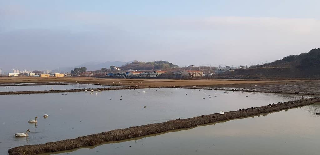 Migratory Bird Sanctuaries