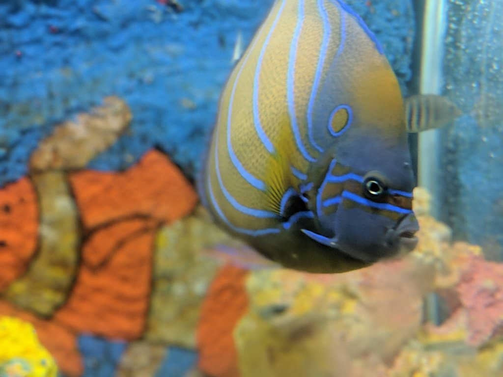 Boating by the Beach