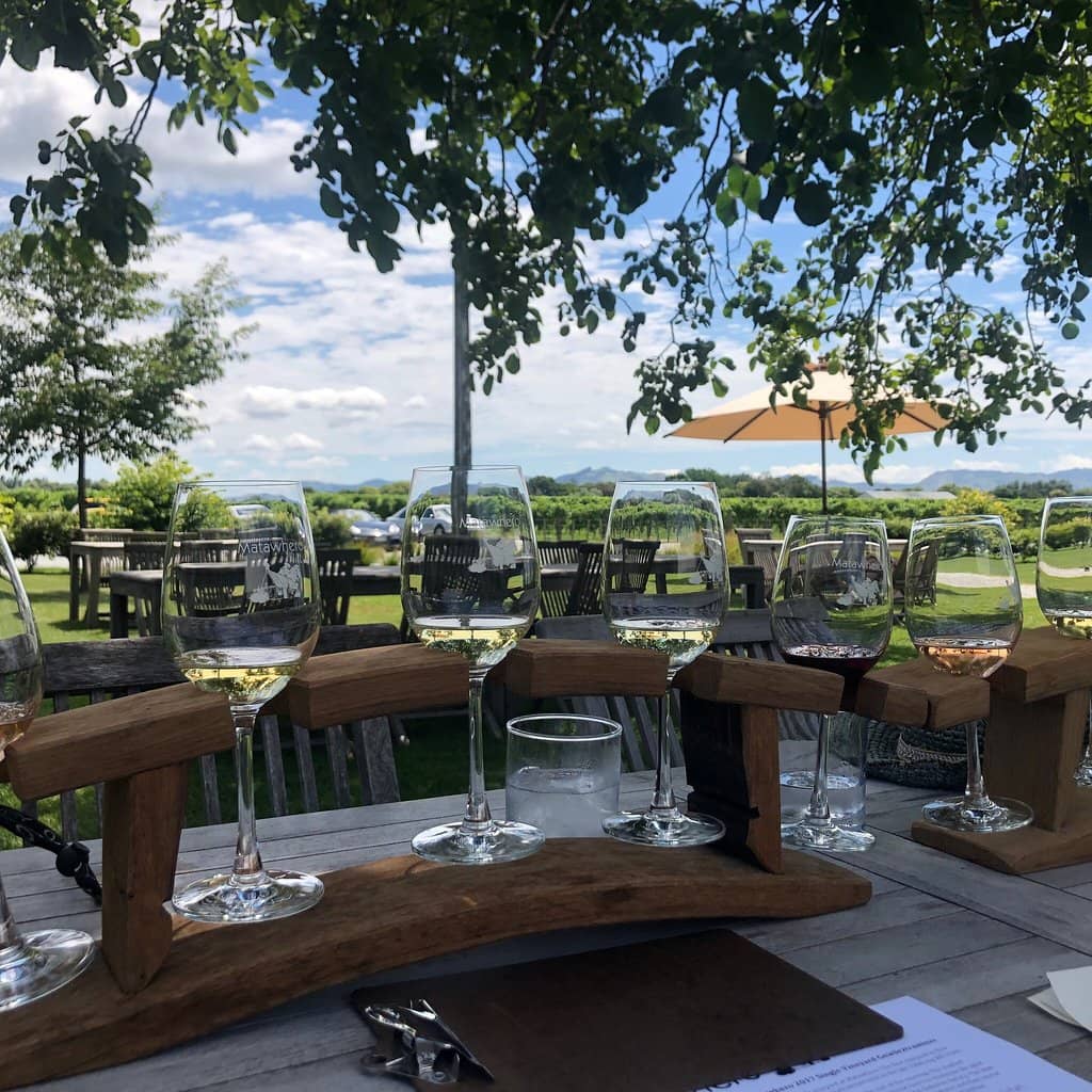 Vineyard Views