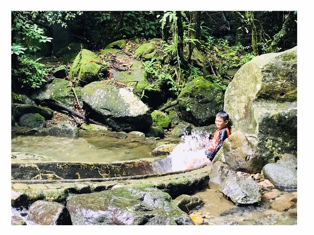 Rainforest Trekking