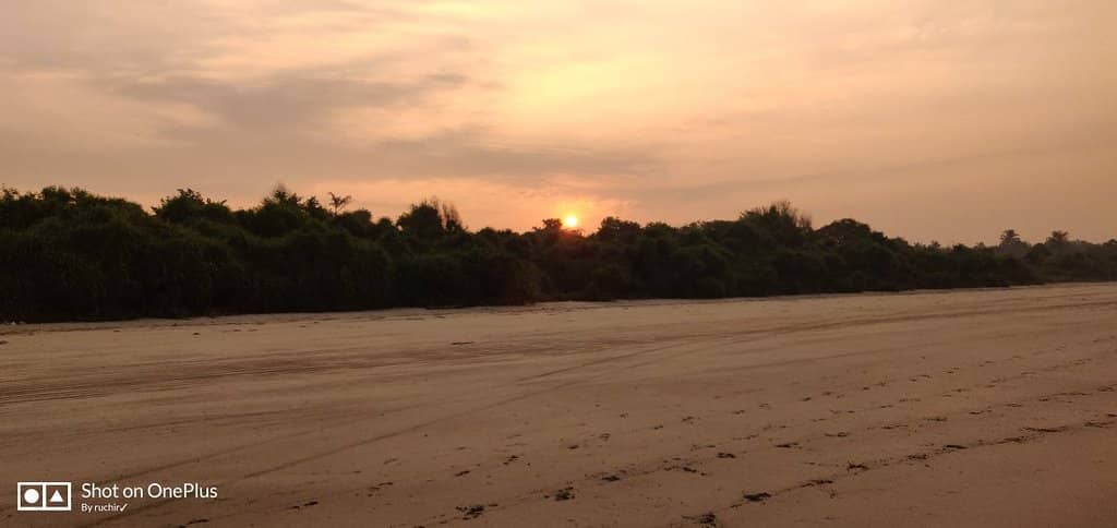 Golden Sands & Gentle Waves