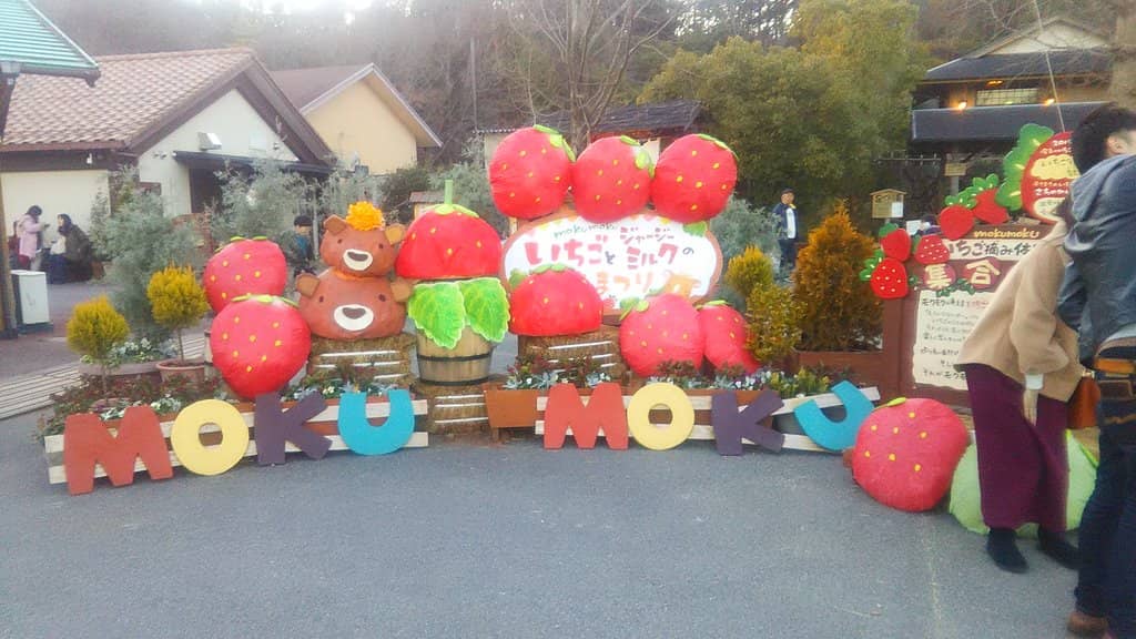 Delicious Local Cuisine