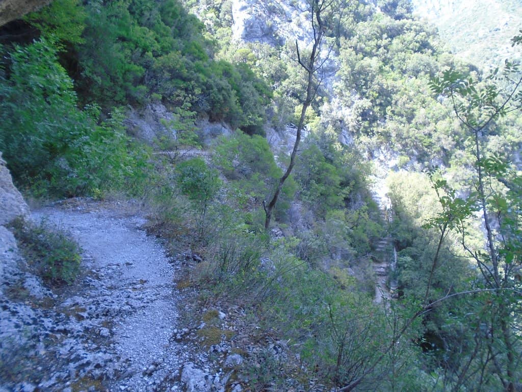 Vertical photo