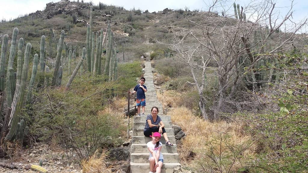 The 587 Steps