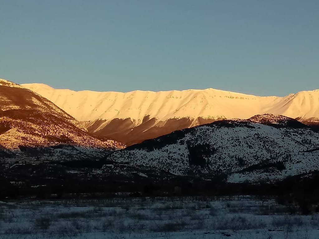 Bosco di Sant'Antonio