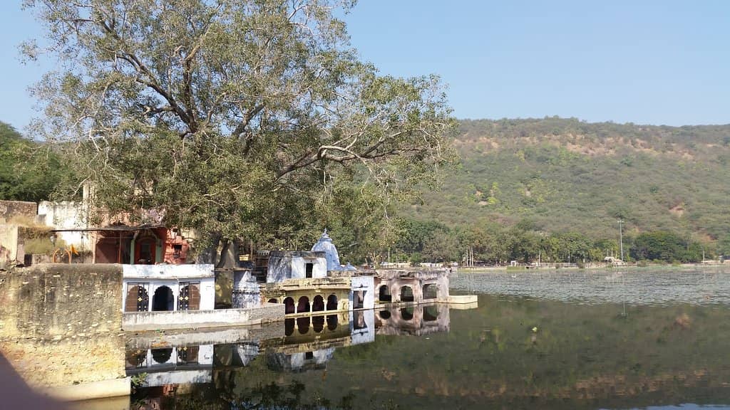 Migratory Bird Watching