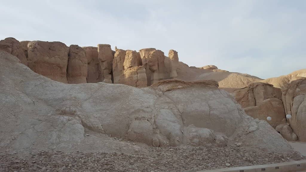Al Ahsa Oasis Views
